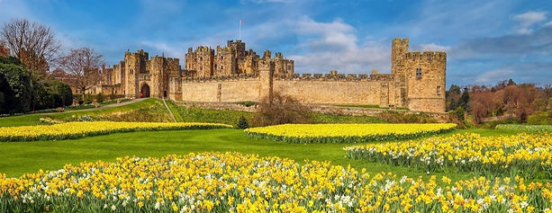 alnwick castle_edited.jpg